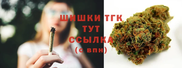 ешки Протвино