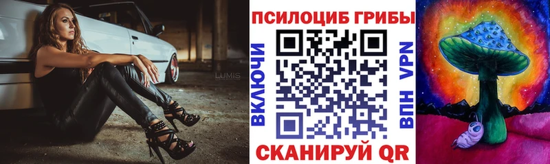 дарк нет как зайти  Корсаков  Галлюциногенные грибы Psilocybe 